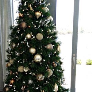Christmas-tree-hire-perth
